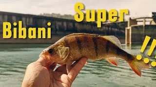 Am PESCUIT la BIBAN - Super BIBANI bonus ȘTIUCA