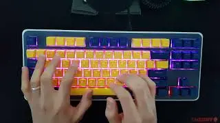 [Keyboard Sounds] Monstargear XO V3 w/ Tealios V2