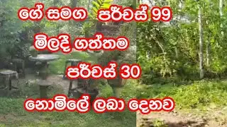 land for sale in galle #12 / land for sale in hiyare / House and land for sale in galle & hiyare