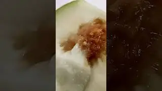 Live Worms inside Apple. Be careful 😰🐛 #apple #worms