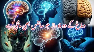 دماغ کے وہ 6 رازجو سائنس بھی مانتی ہے اور عام انسان نہیں