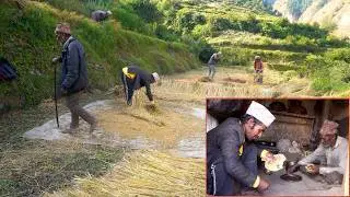 dharme brother is helping to his villager || village life in rural Nepal || village farming ||