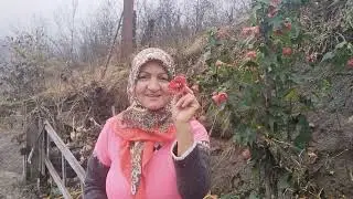 BAHÇEMİN SON HALİ‼️BU MÜBAREK AYLARDA KALPLERİMİZ SEVGİ VE HUZURLA DOLSUN🤲