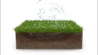 The Benefits of Paving with Grass Pavers
