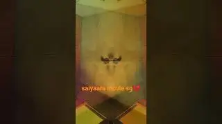 saiyaara movie sg #reels #sg