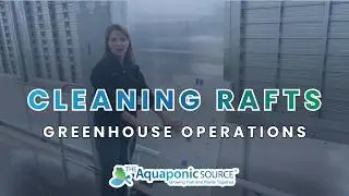 Greenhouse Operations: Cleaning DWC Raft Boards