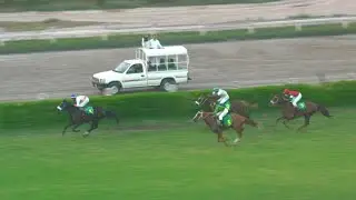 2nd Race The Rainbow Cup Distance 1000 Meters Winner Black powder ( Pakistan Horse Racing )