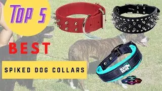 Spiked Dog Collars - Best Spiked Dog Collars Review 2020