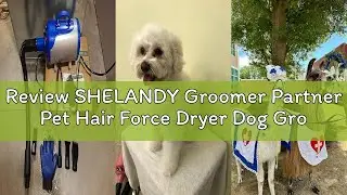 Review SHELANDY Groomer Partner Pet Hair Force Dryer Dog Grooming Blower with Heater (Blue)