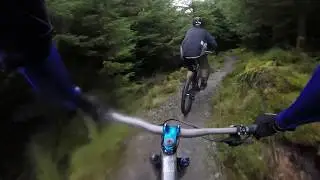 Whinlatter mtb 2017