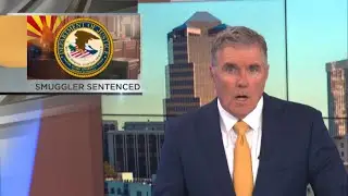 Man pleads guilty to transporting undocumented immigrants, sentenced to 40 months