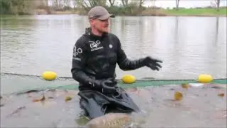 Apex Park lakes fish moved (Burnham-On-Sea.com)