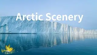 The Purest Silence on Earth ❄️ Antarctic Meditation & Deep Sleep