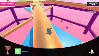I won fallguys
