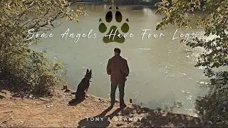 Tony & Brandy || Some Angels Have Four Legs (After Life)