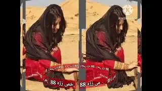 Damsaz marwat qalam Muhsin Tajori #damsazmarwat #sarkikamal #pashtosong #viralvideo #viral #damsaz