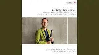 Violin Sonata in G Minor, H.524.5 (Arr. for Recorder & Harpsichord) : I. Allegro