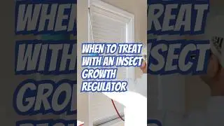 When to Use Insect Growth Regulators | DoMyOwn.com