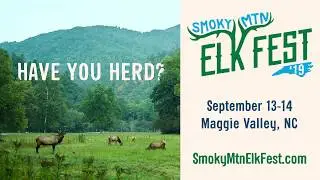 Smoky Mountain Elk Fest 2019
