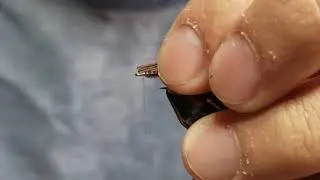 Tying a Phesant Tail Nymph - Dylan Gonzales