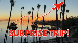 SURPRISE TRIP!