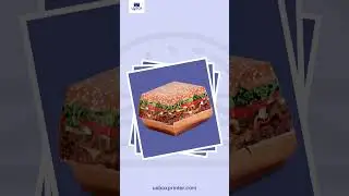 Boxes For Burgers | Burger Packaging Boxes | Burger Boxes