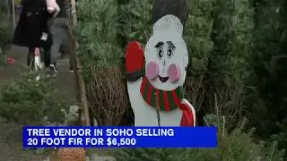 Tree vendor in SoHo selling 20-foot fir for $6,500