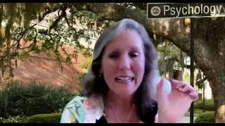 Advice from NIH R01 Recipients