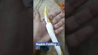 How to make A Napkin Folding Carrot 🥕🥕🥕 $ folding Art # shorts $