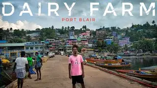 DAIRY FARM BASTI VLOG Visible Old Memories Port Blair Andaman Islands