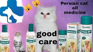 Persian cat ke liye best medicine loose motion fever good care Persian cat vomiting medicine Persian