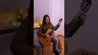 Leo Brouwer - Un Dia de Noviembre.      #guitar #guitarist #classicalguitar #leobrouwer #musica