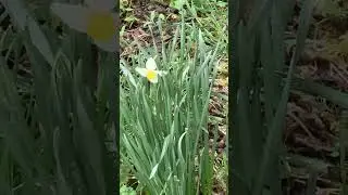 #nature #ucraina #уприродынетплохойпогоды #springtime #nofilter