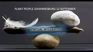 Spiritual integration on the plant medicine path