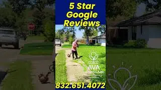 Healthy Lawns Start with Sprinklers | Houston Landscape Essentials #lawncare#avalandscape