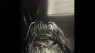 Drake & Travis Scott type beat 