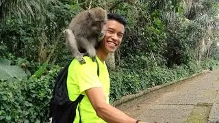 INDONESIA - BALI