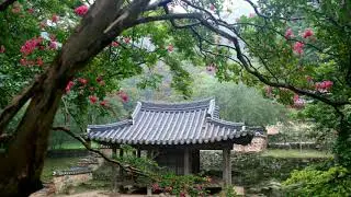 The sound of water to heal the music relaxing music to relieve depression sleep music
