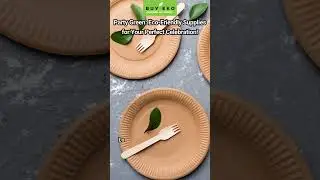 Party Green: Eco-Friendly Supplies for Your Perfect Celebration - Buyeko
