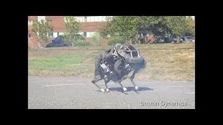 GOOGLE FINDS MEDICINE TO DEATH mp4
