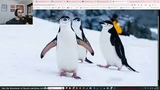 The Nietzschean Penguin