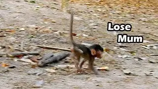 Don't Abandon Me So Young Skinny Baby Alba Run Cry Afraid Cos Lose Her Mum Anna| Mum Anna Leave Alba