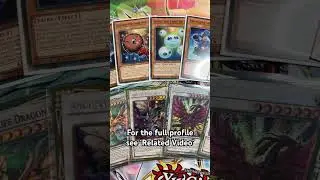 Yu-Gi-Oh! Ancient Fairy Deck Profile - September 2025