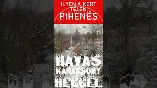 Ilyen a kert t&eacute;len -  PIHEN&Eacute;S #ritakertje