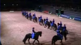 Bayrische Friesenquadrille 2005