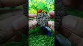 Independence Biscuit ASMR 😍 | Crunchy Chocolate🍪 #biscuit #testy #shortvideo #vairal #trending