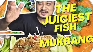 ✨ Delicious Fatty Fish Mukbang | The Curious Guy OFFICIAL