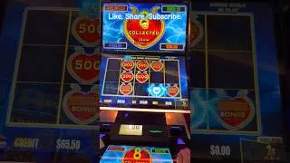 😳OMG! $10 BET ON DOLLAR STORM @hardrocktampa #casino #slots #gambling #casinogames #winner #slot