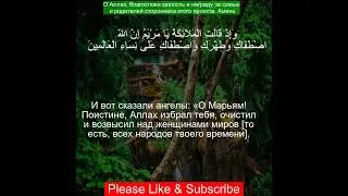 Коран Сура Аал Э Имран | 3:42 | Чтение Корана с русским переводом| Quran Translation in Russian