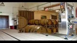 Uve-Sagrantino-Di-Montefalco|passito e Sagrantino-Di-Montefalco|secco - 0742 290136